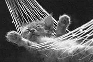 Nervous Patient Relaxing Dental Care